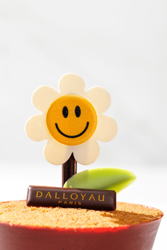 Serradura Flower Pot