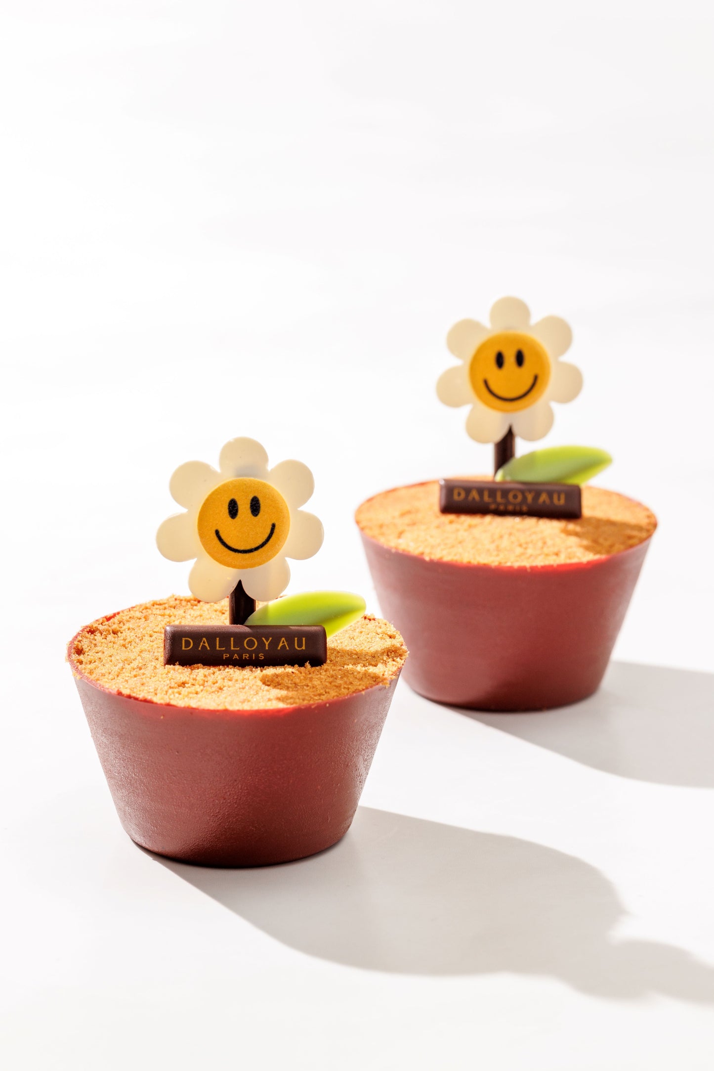 Serradura Flower Pot