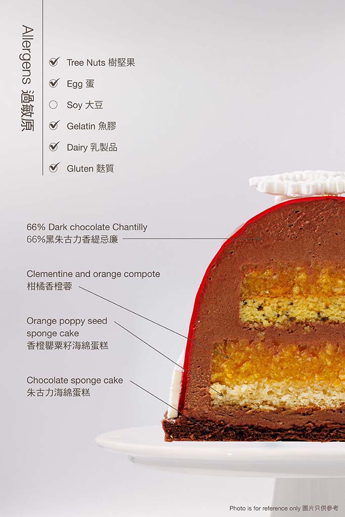 Orange Chocolate Yule Log