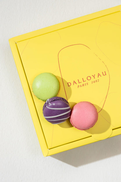 Gift Box of 9 Macarons