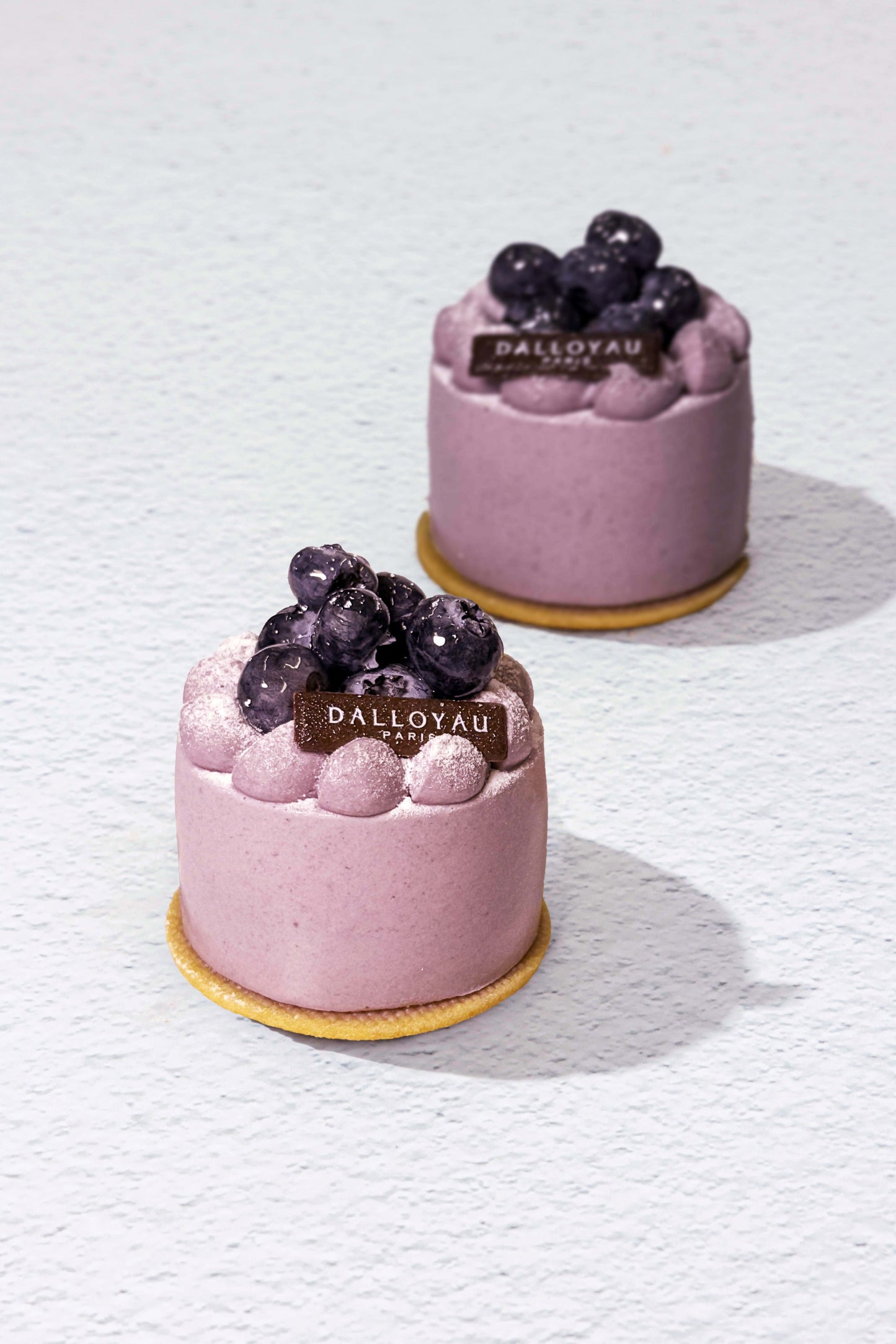 Blueberry Cheesecake
